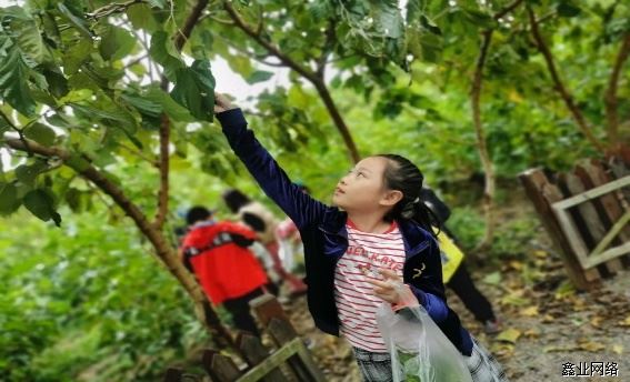 圖片9.png 圖片9.png